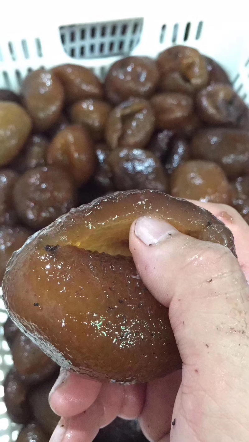 靓红球参（好品质，量大的私聊，适合各种市场，价格优口感佳