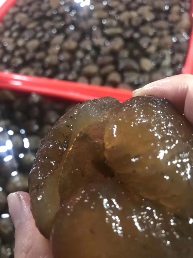 靓红球参（好品质，量大的私聊，适合各种市场，价格优口感佳