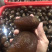 靓红球参（好品质，量大的私聊，适合各种市场，价格优口感佳