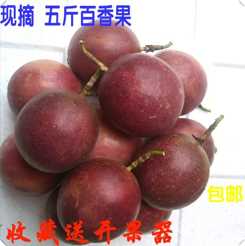 百香果多规格一件代发拼多多淘宝天猫京东全网**全网比质量