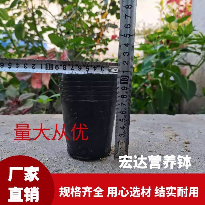 树苗育苗杯营养钵营养杯塑料