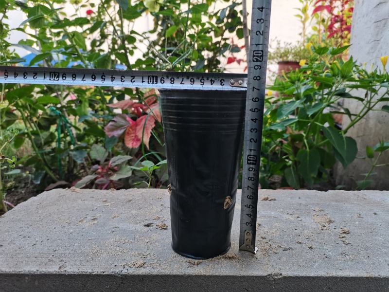 树苗育苗杯营养钵营养杯塑料