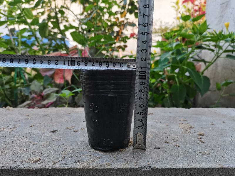 树苗育苗杯营养钵营养杯塑料