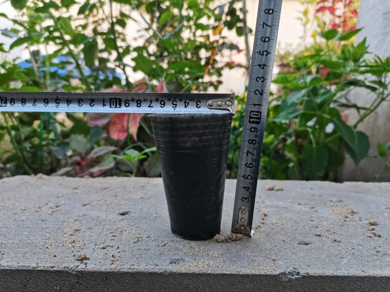 树苗育苗杯营养钵营养杯塑料