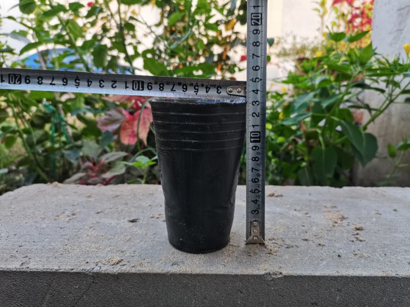 树苗育苗杯营养钵营养杯塑料
