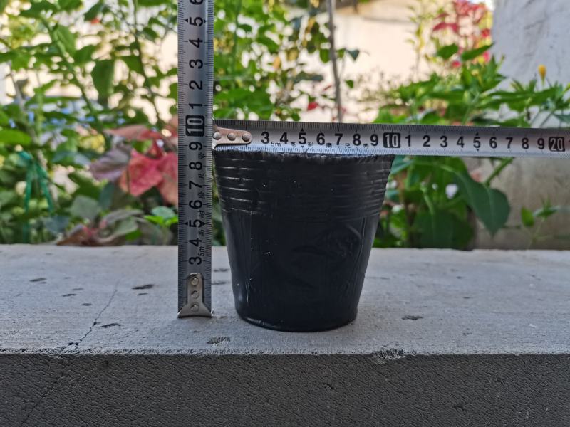 营养钵育苗杯塑料黑色育苗盆育苗袋加厚营养袋树苗杯育苗盆