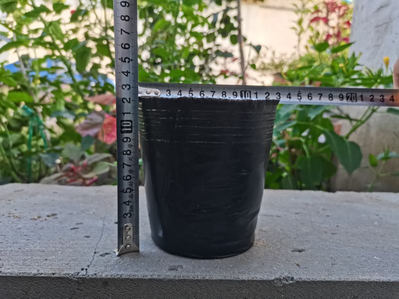 营养钵育苗杯塑料黑色育苗盆育苗袋加厚营养袋树苗杯育苗盆