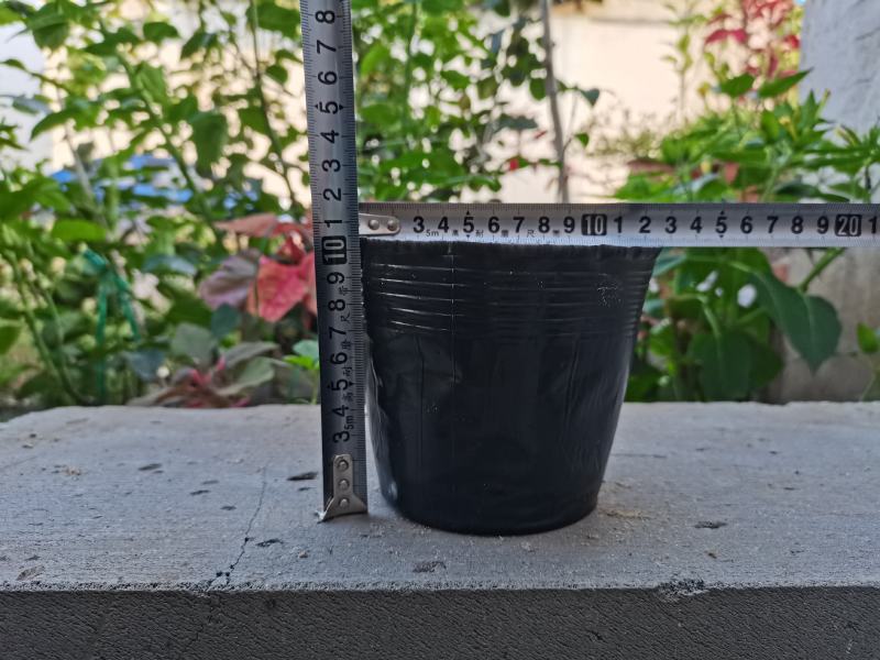 营养钵育苗杯塑料黑色育苗盆育苗袋加厚营养袋树苗杯育苗盆