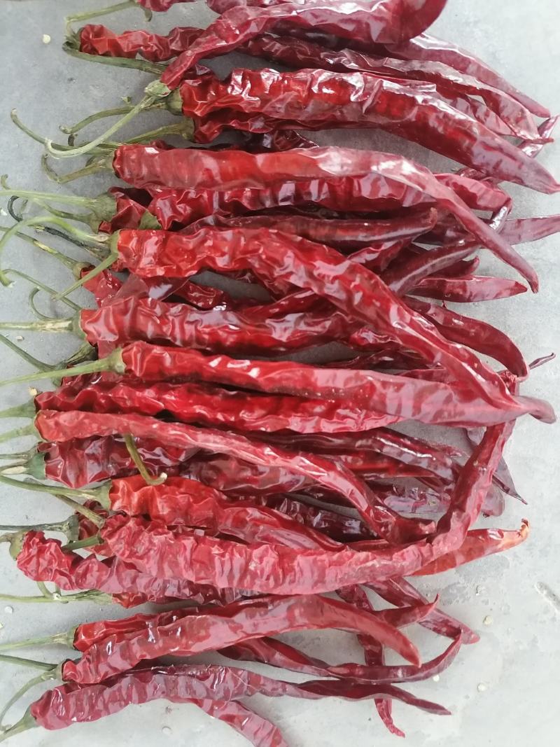 贵州二荆条，烘干好货