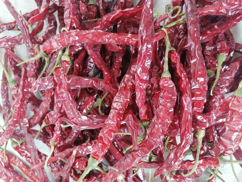 贵州二荆条，烘干好货
