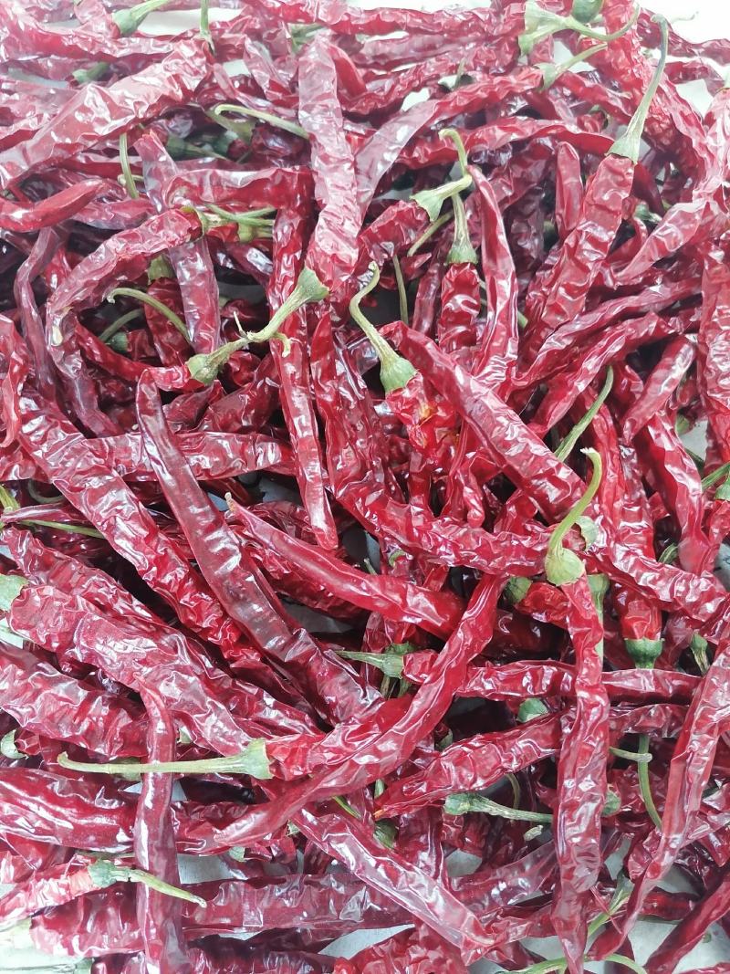贵州二荆条，烘干好货