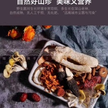 七彩菌汤包优质汤包品质保证云南特产品质保证