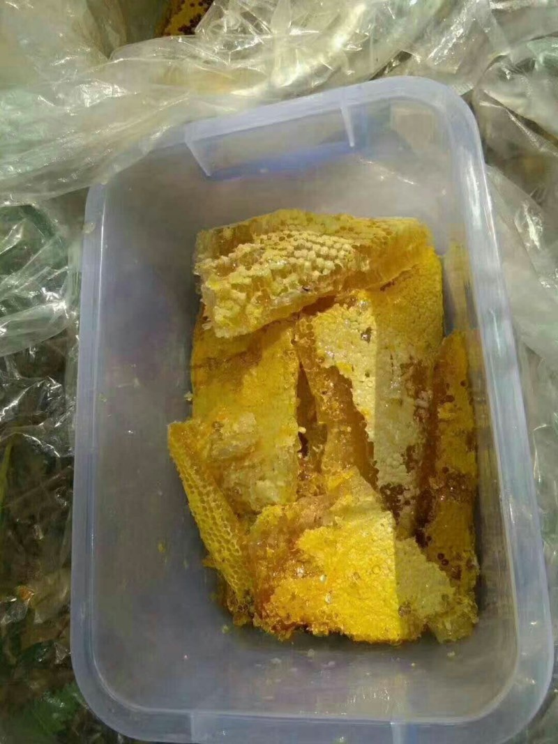 蜂蜜野生蜂蜜大自然的搬运工生态