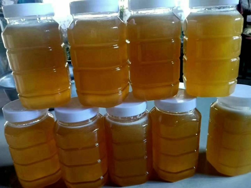蜂蜜野生蜂蜜大自然的搬运工生态