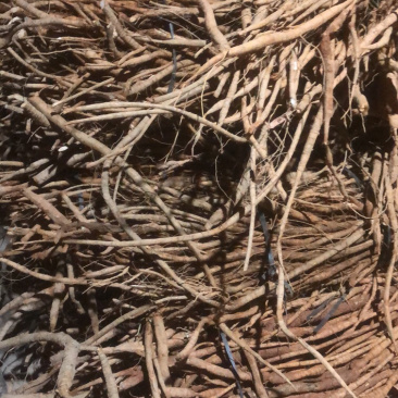 广西牛大力统货或者分等级