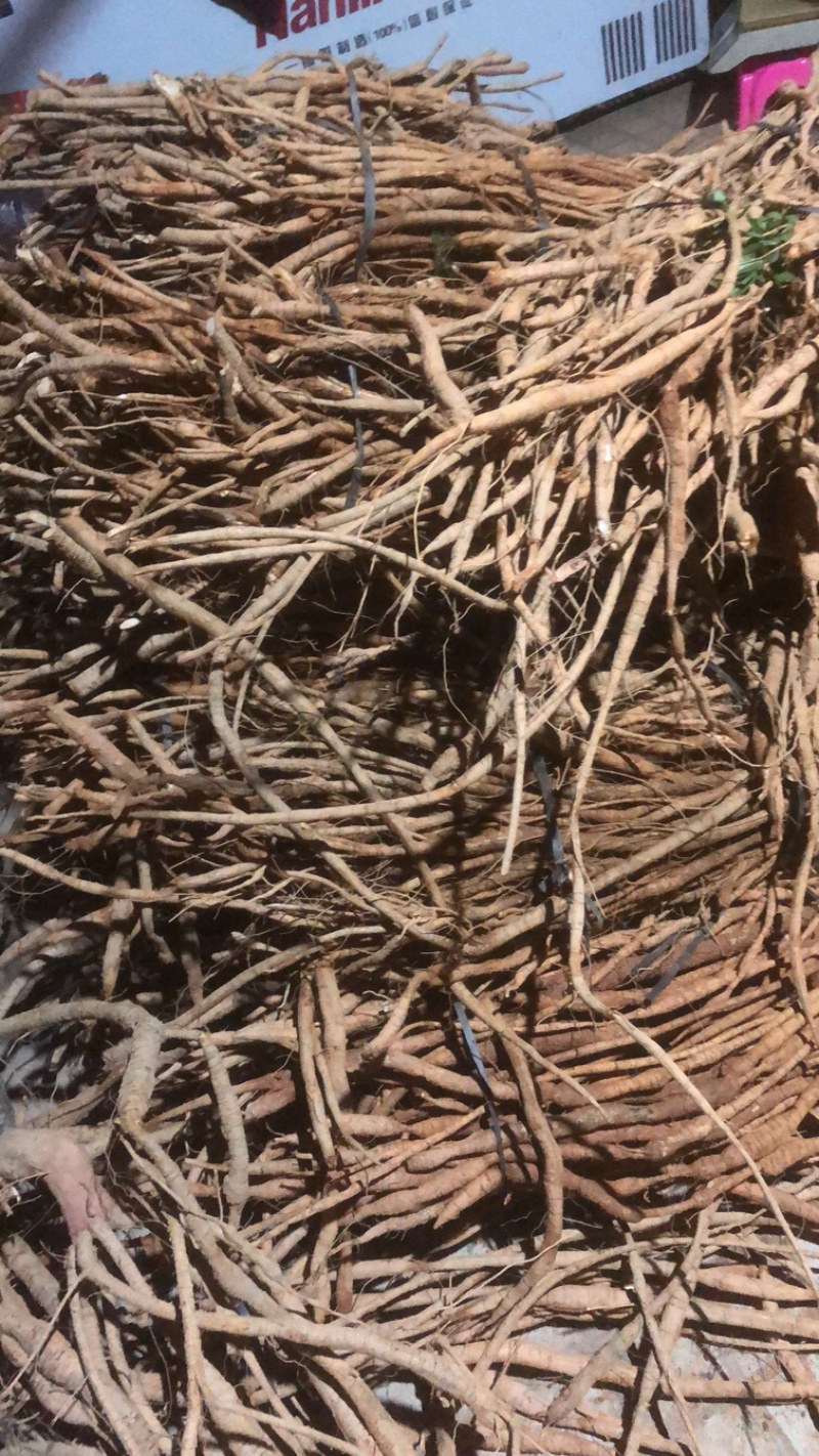 广西牛大力统货或者分等级