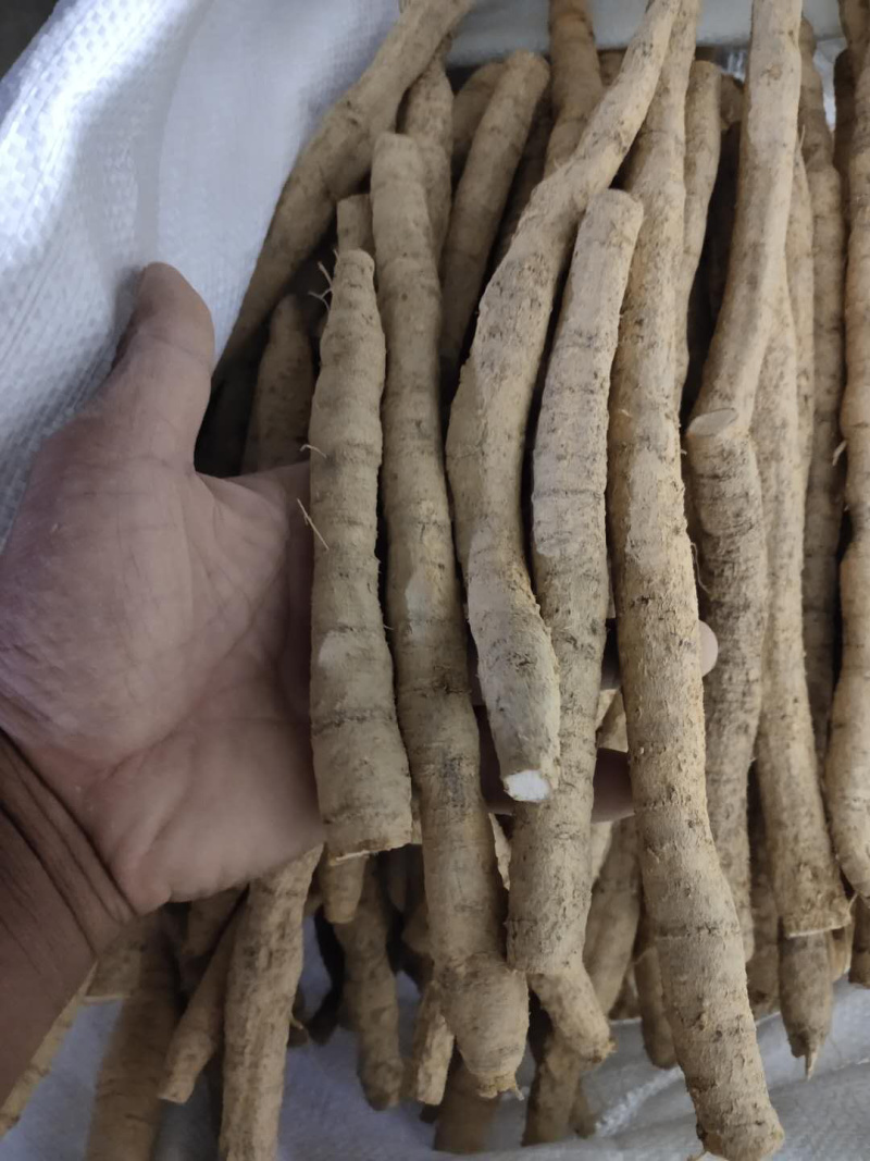 广西牛大力各种规格等级