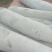 白皮吊冬瓜基地直供一站式服务诚信为本细节可协商