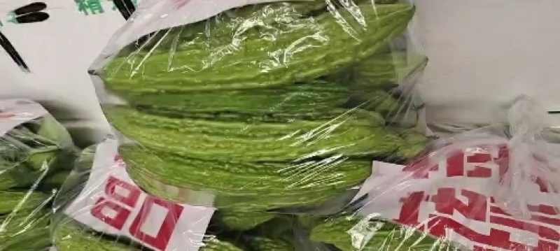 精品蔬菜大量上市中需要下单