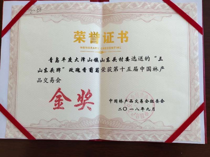 金奖村的无公害玫瑰香葡萄
