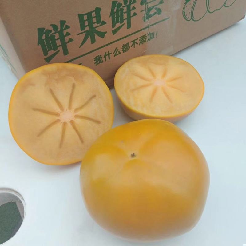 阳丰柿子水果柿子脆柿子山西柿子基地一件代发