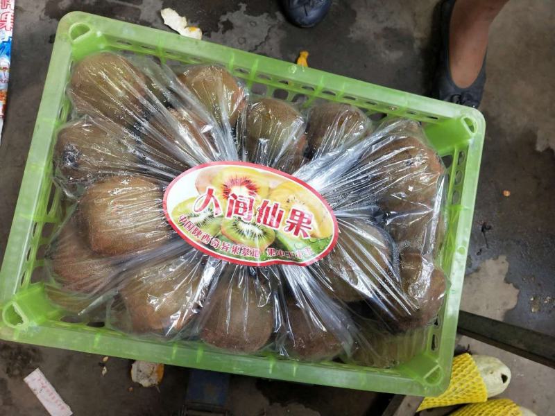 正宗陕西徐香猕猴桃大量上市货源充足量大从优欢迎咨询