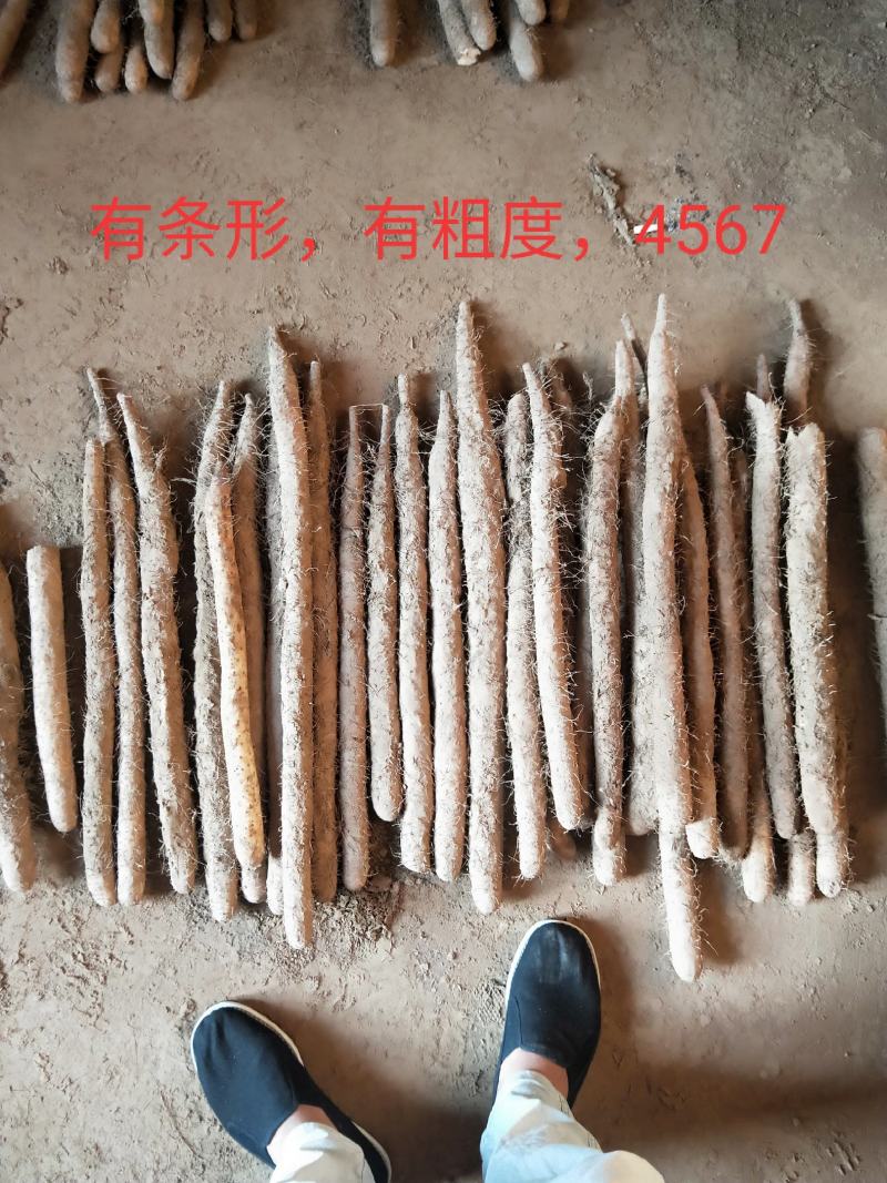 长年出售各种规格这种质量，榜样，双棒，小白嘴，紫药