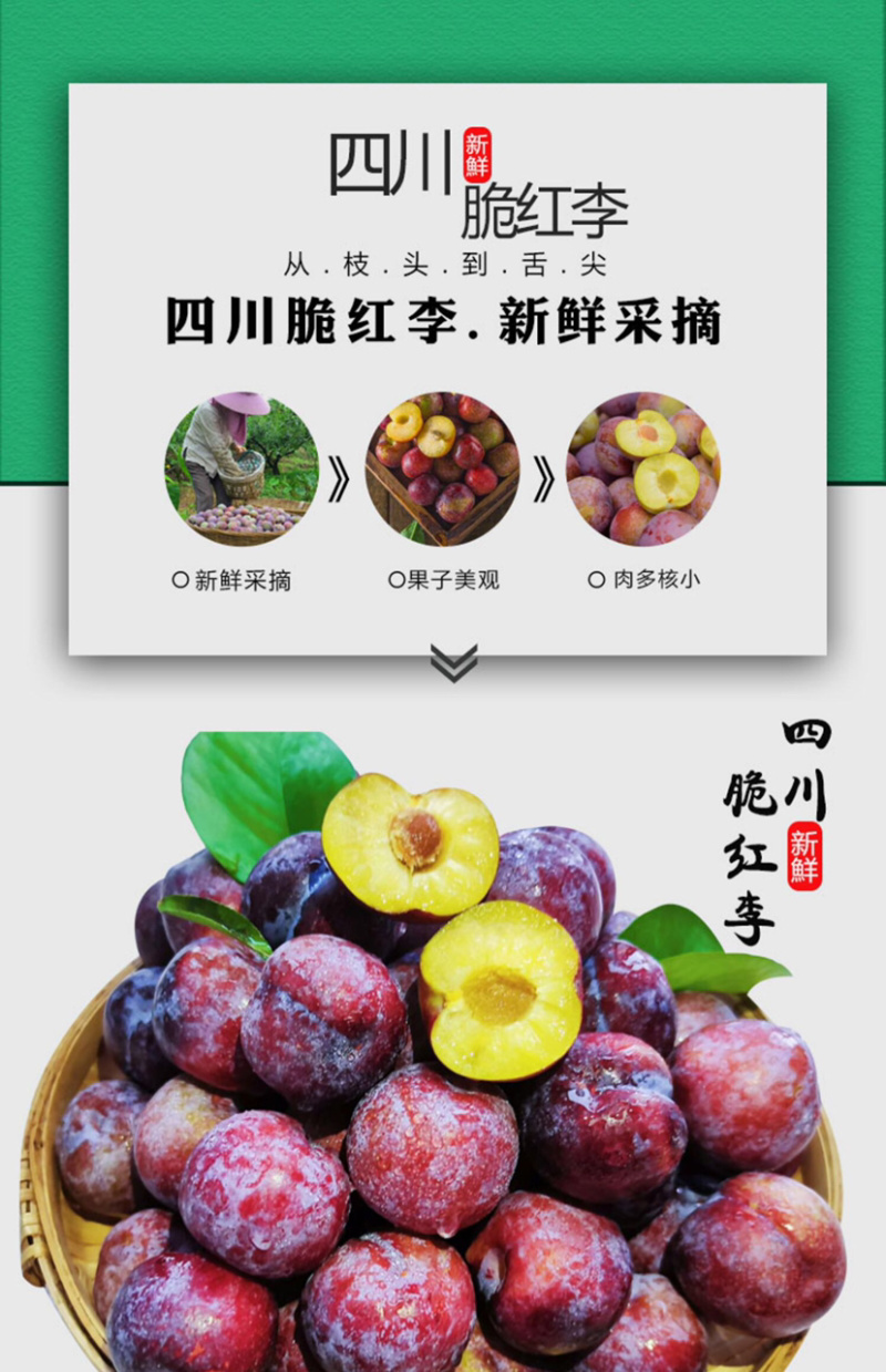 茂县脆红李红翠李红脆李专业代办服务一条龙负责任的代办