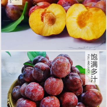 茂县脆红李红翠李红脆李专业代办服务一条龙负责任的代办