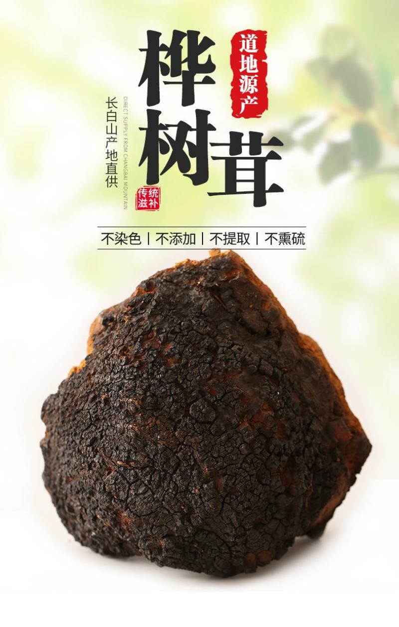 桦树茸250g东北特产长白山野生大个白桦茸桦褐孔菌