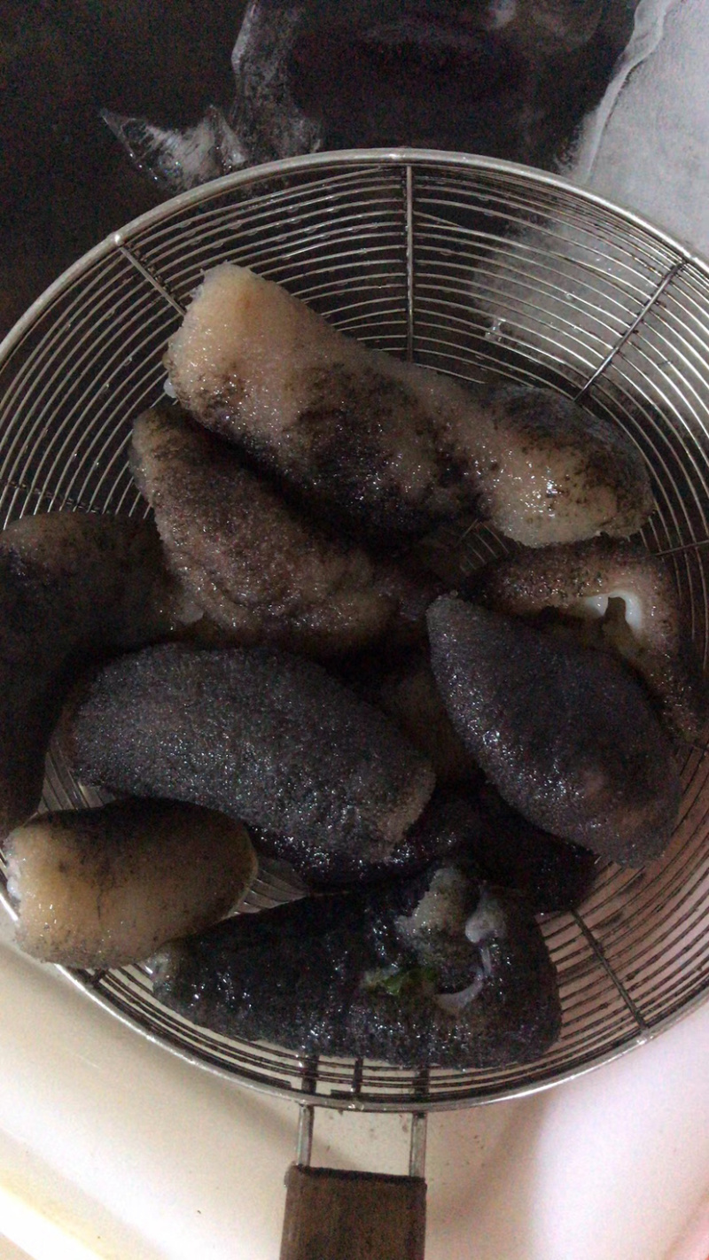 非洲参海参新品口感好有弹性（有量的老板私聊）
