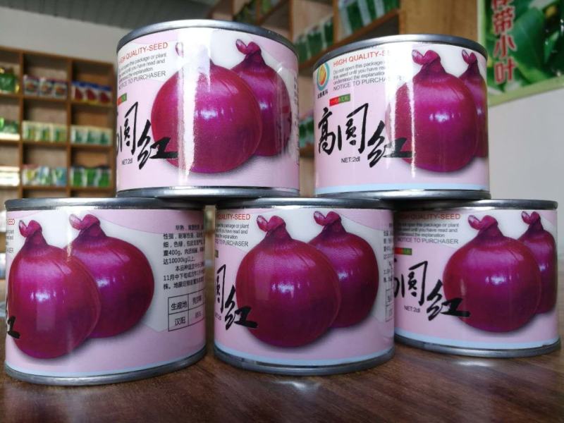 精品洋葱种子早晚熟紫皮黄皮白皮红皮高桩扁圆形各类洋葱
