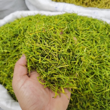 金银花二花包邮精选新货无杂质山东河南金银花包邮