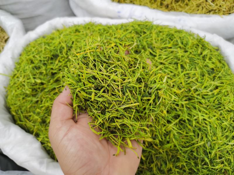 金银花二花包邮精选新货无杂质山东河南金银花包邮