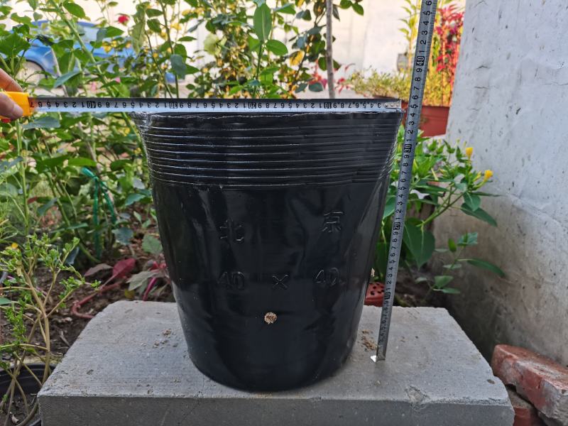 育苗杯营养杯一次性营养钵育苗杯塑料育苗杯育苗袋