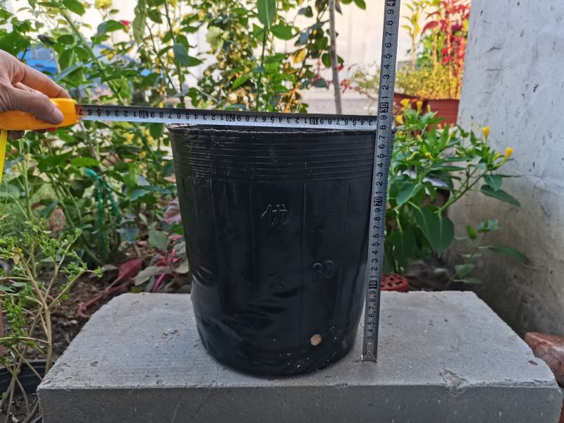 育苗杯营养杯一次性营养钵育苗杯塑料育苗杯育苗袋