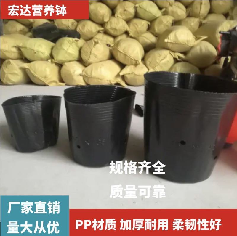 育苗杯营养杯一次性营养钵育苗杯塑料育苗杯育苗袋