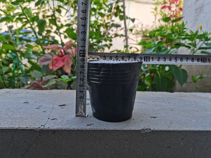 工厂直销育苗杯营养杯营养钵小号育苗杯育苗袋营养钵