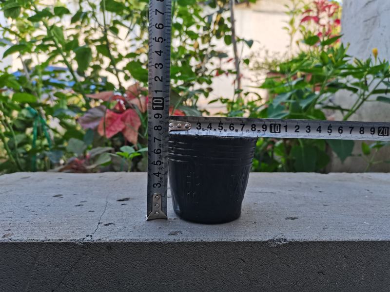 工厂直销育苗杯营养杯营养钵小号育苗杯育苗袋营养钵