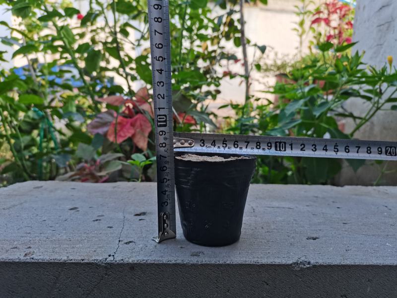 工厂直销育苗杯营养杯营养钵小号育苗杯育苗袋营养钵