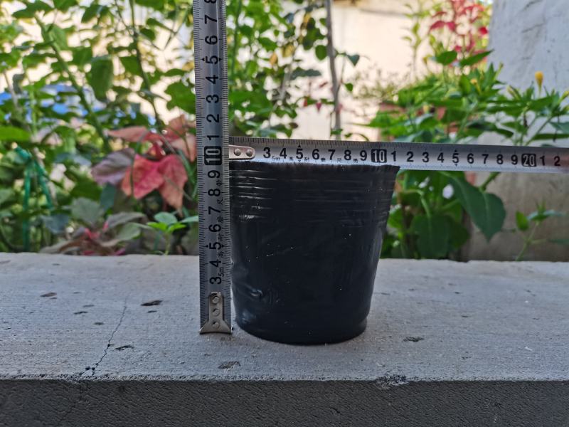 工厂直销育苗杯营养杯营养钵小号育苗杯育苗袋营养钵