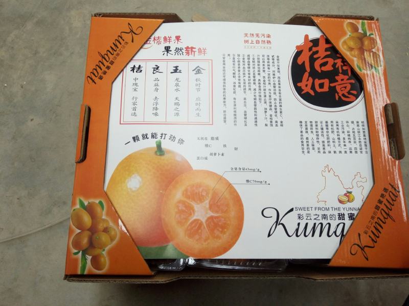 阳朔金桔之乡恒彩专业合作社