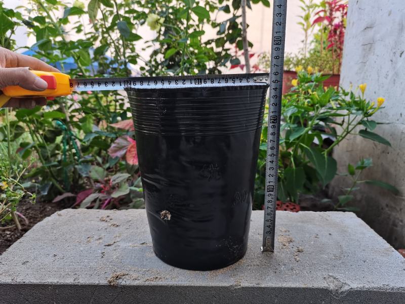 营养钵育苗杯育苗盆营养杯工厂直销营养钵育苗杯黑色塑