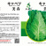 🔥品质脆叶大牛心甘蓝种子耐寒春秋两用