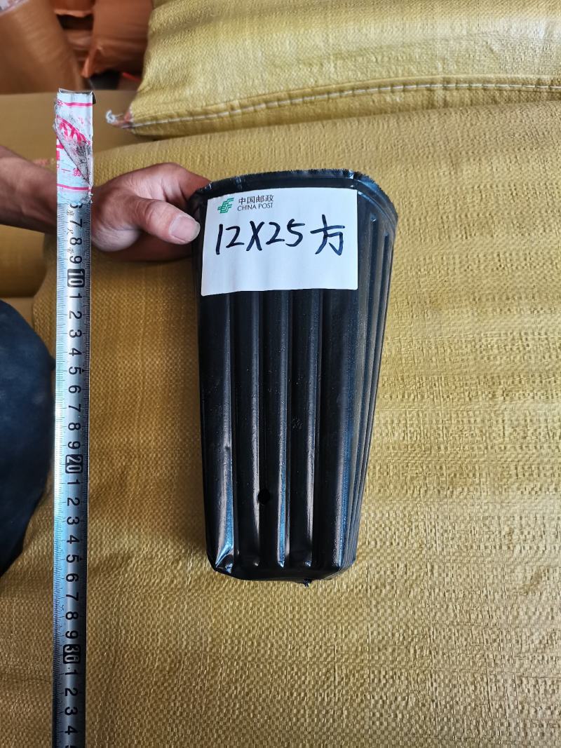 加厚营养钵柑橘杯细高育苗杯黑色育苗盆营养袋加高