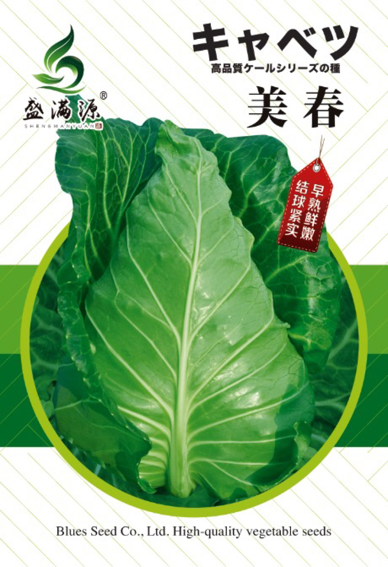 🔥品质脆叶大牛心甘蓝种子耐寒春秋两用