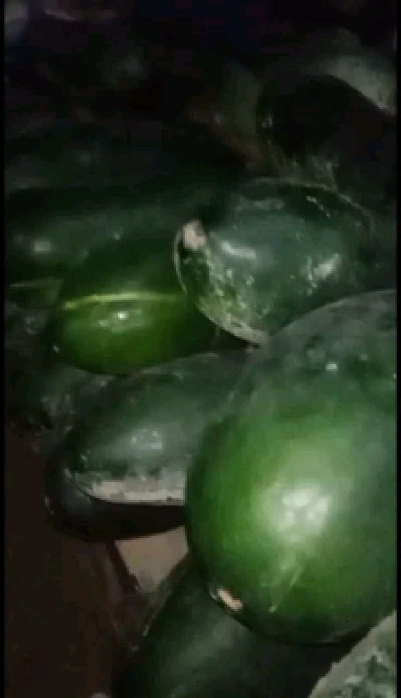 黑皮冬瓜，质量好，货源充足