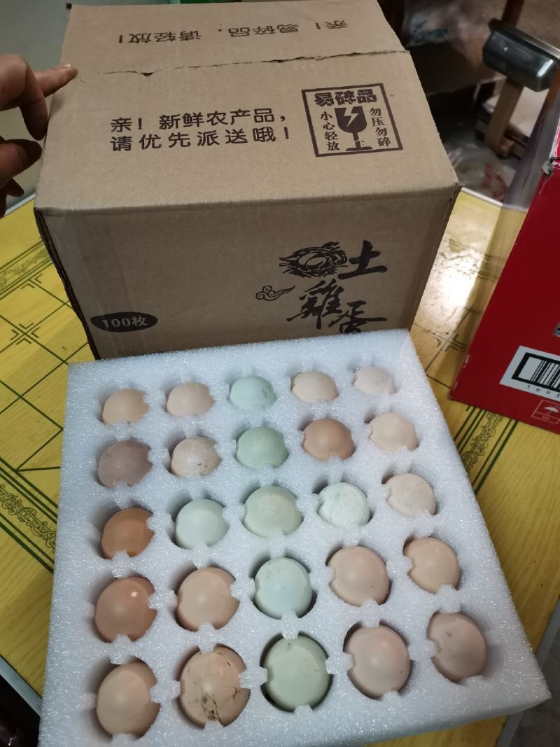 正宗农家土鸡蛋50枚100枚装，破损包赔，全国发货