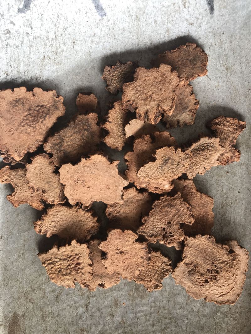 【精品推荐】🔥内蒙金锁阳批发，量大从优