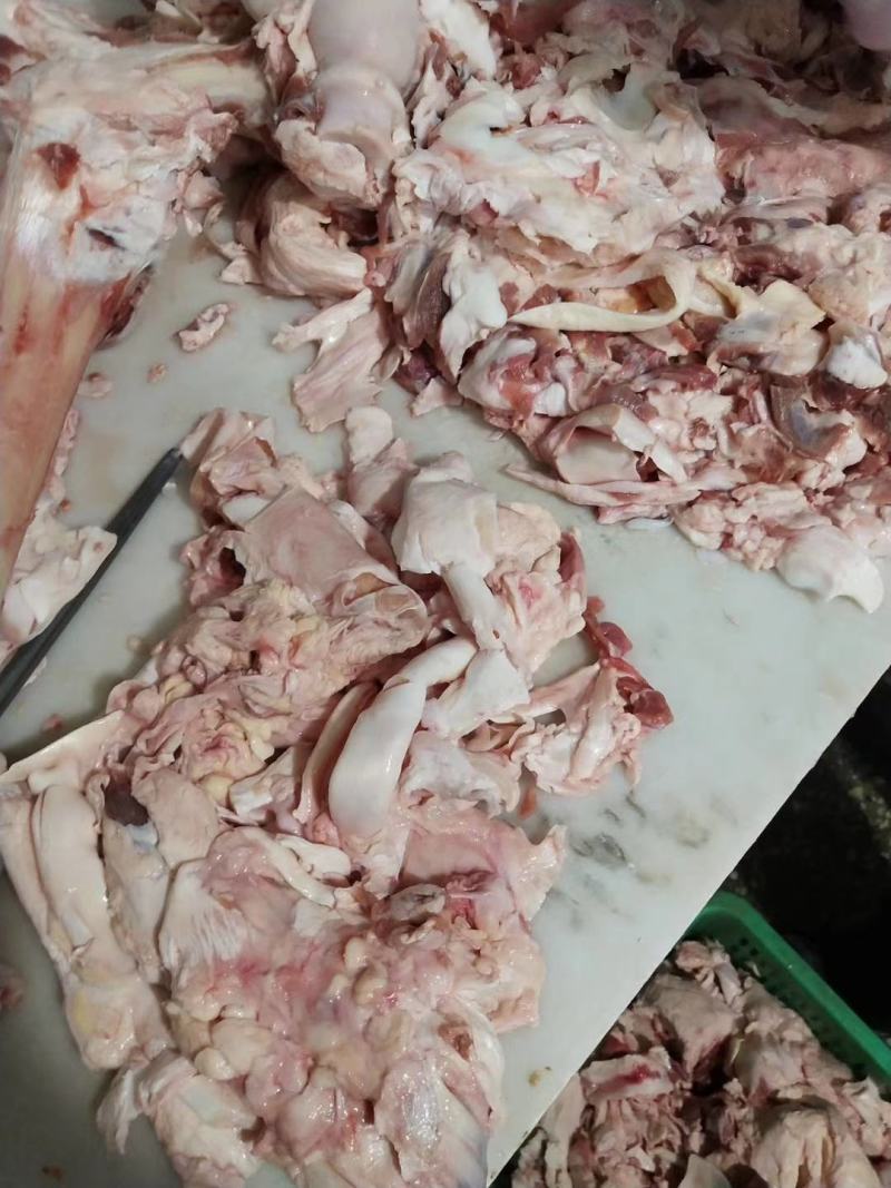 纯干鲜牛棒骨筋筋头巴脑专用一手货源。支持样品
